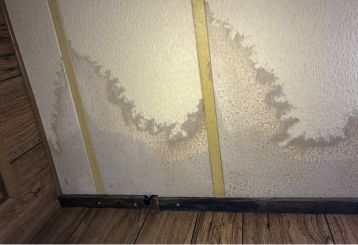 Specialists performing mold remediation to restore a safe and healthy environment.